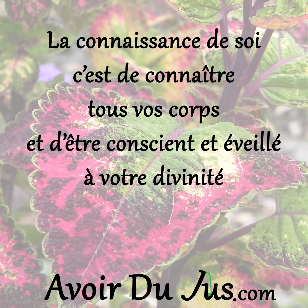 Avoir Du Jus Citation Spiritualite Se Decouvrir Soi Meme Et Decouvrir Qui Nous Sommes Vraiment T Co F0rzxvj9v8 Twitter
