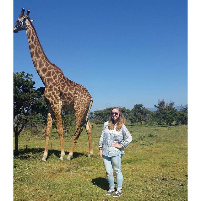 LUstudyabroad tweet picture