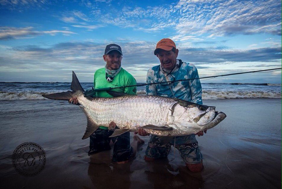 TandTFlyFishing's tweet photo. Great work #tourettefishing #thomasandthomasflyrods #flyrodperfection #tandtpower https://t.co/O8az0YfFwD