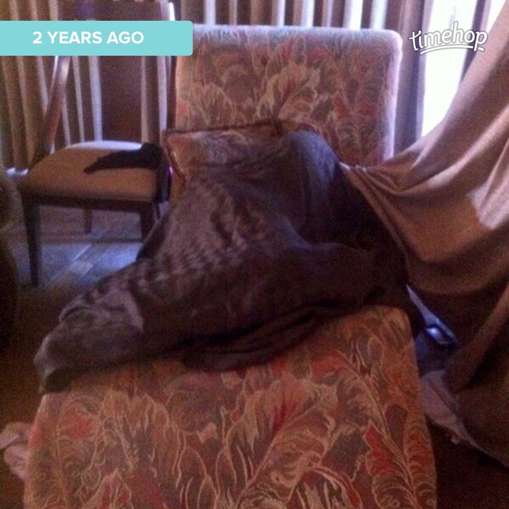 MegsGorham's tweet photo. Tb to the sb I woke up to tomlin under a curtain  @zTomlin https://t.co/YsQxXyuCd2