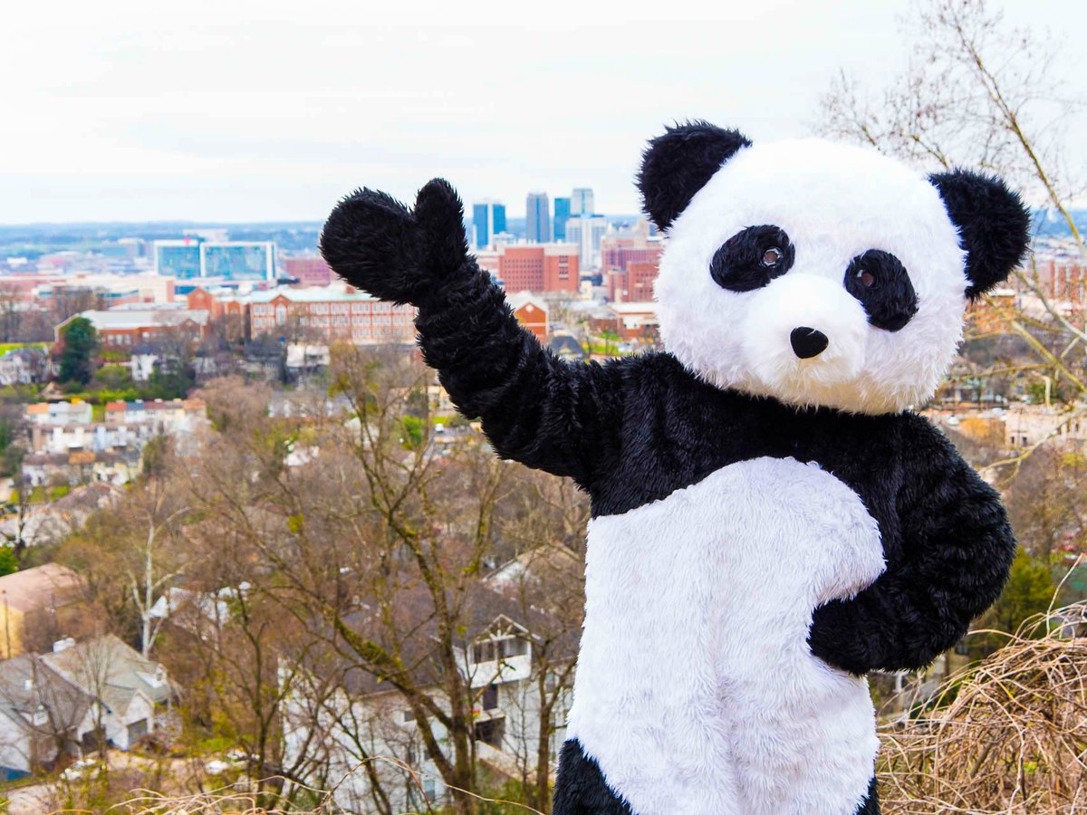 Hello Birmingham! Hello UAB!
#GrowWithCanvas Event
March 30 &amp; 31, 2016
bit.ly/1o1rBR6