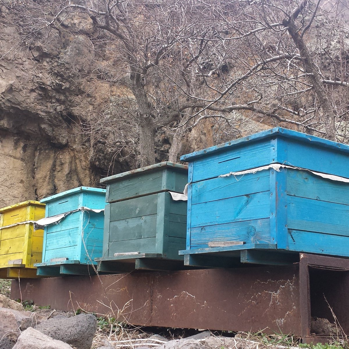 ONEArmenia's tweet photo. Now that #BringontheBuzz is done, we will be seeing #beehives in #Baghanis very soon! (These are at Geghard) https://t.co/9C3VJ9WXIP