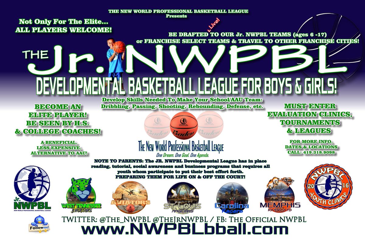 OhioAviators's tweet photo. Interested in bringing a #JrNWPBL developmental league for youth boys and girls to your city? Contact us! #youth https://t.co/7XVZHFLArB