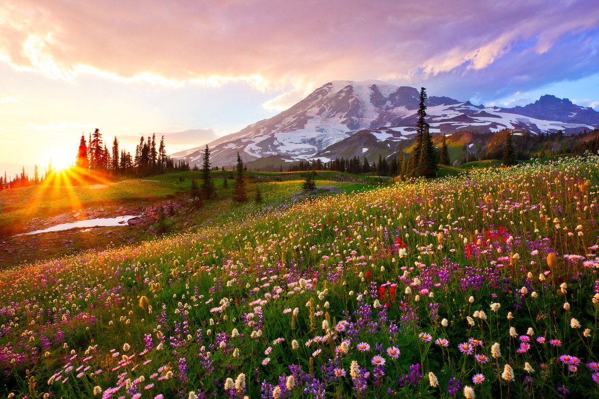Interior's tweet photo. Happy birthday @Twitter! We 💓 sharing America's breathtaking public lands with the 🌎 #LoveTwitter https://t.co/EW1TQMADyo