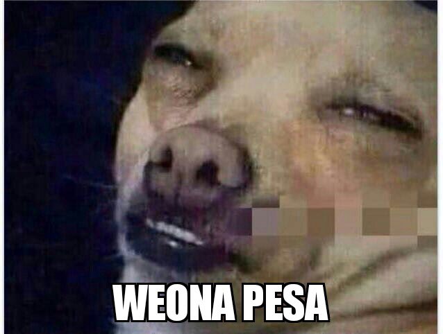 conysalasp's tweet photo. @gipsytapia para tiiiii!!!!! Wujajajajjajajajjajajaj https://t.co/ujExq19Zir