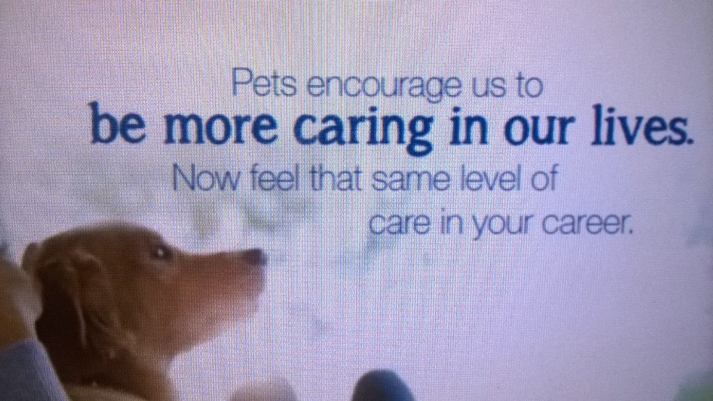 FriedmannDaniel's tweet photo. Looking for a few good people.  Now hiring PETsMART 0409 Gastonia NC,  @ssmiley231, #charlottejobs https://t.co/GFpJ116fOg