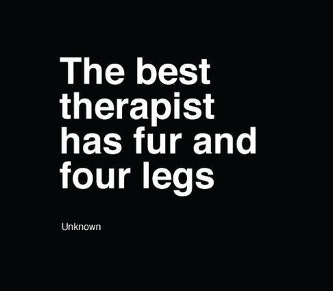 Our doggies always know how to make us feel better. <3 #doglife #therapist #bestfriend