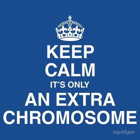 SusanCosgrove's tweet photo. On the 21st day of the 3rd month we celebrate those with a 3rd 21st chromosome. Happy Down Syndrome awareness day! https://t.co/J4uqidazvJ