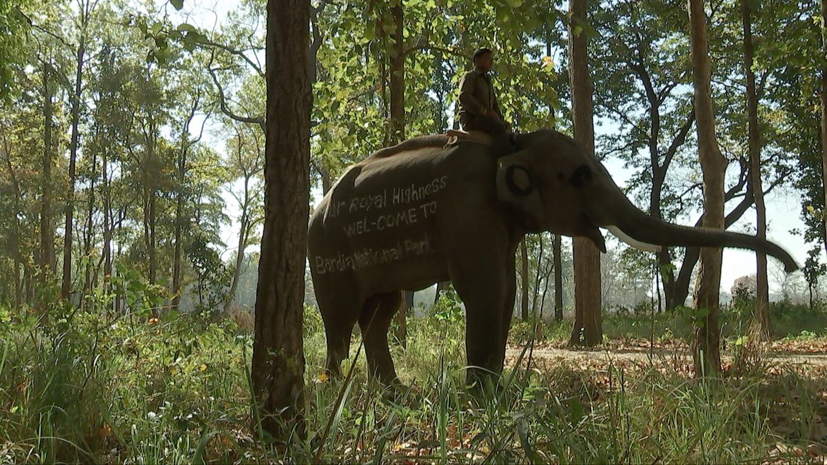 rusheymeadfound's tweet photo. Welcome sign for Prince Harry in Bardia National Park in Nepal. https://t.co/U9THOFjqrj