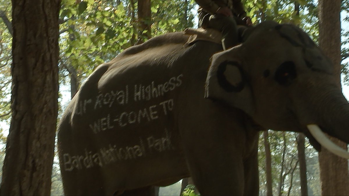 rusheymeadfound's tweet photo. Welcome sign for Prince Harry in Bardia National Park in Nepal. https://t.co/U9THOFjqrj