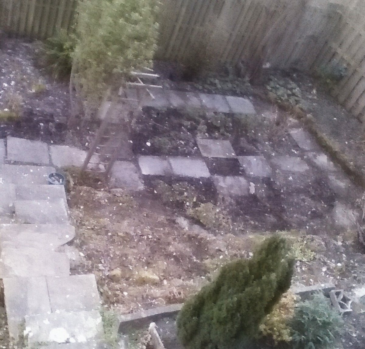 HelSingleton's tweet photo. Gardening always includes time staring at the bit worked, willing it look different #goodfromafar #gardenerplease https://t.co/QfCBuutbrw