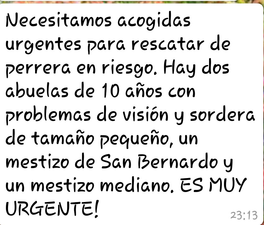 Defensa Animal Palentina tweet media