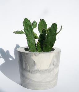 New in on OWT, this cute little cactus planter: buff.ly/1S08nU9 #cactus #gifts