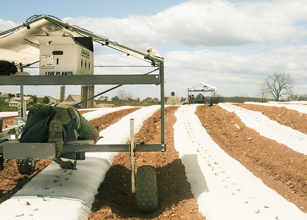 CropCareEquip's tweet photo. Innovative #AqEquip to help prolong #AgingFarmers careers https://t.co/z1ARzP7IEp #FruitGrowers #VegetableGrowers https://t.co/kKgqbfLHUW