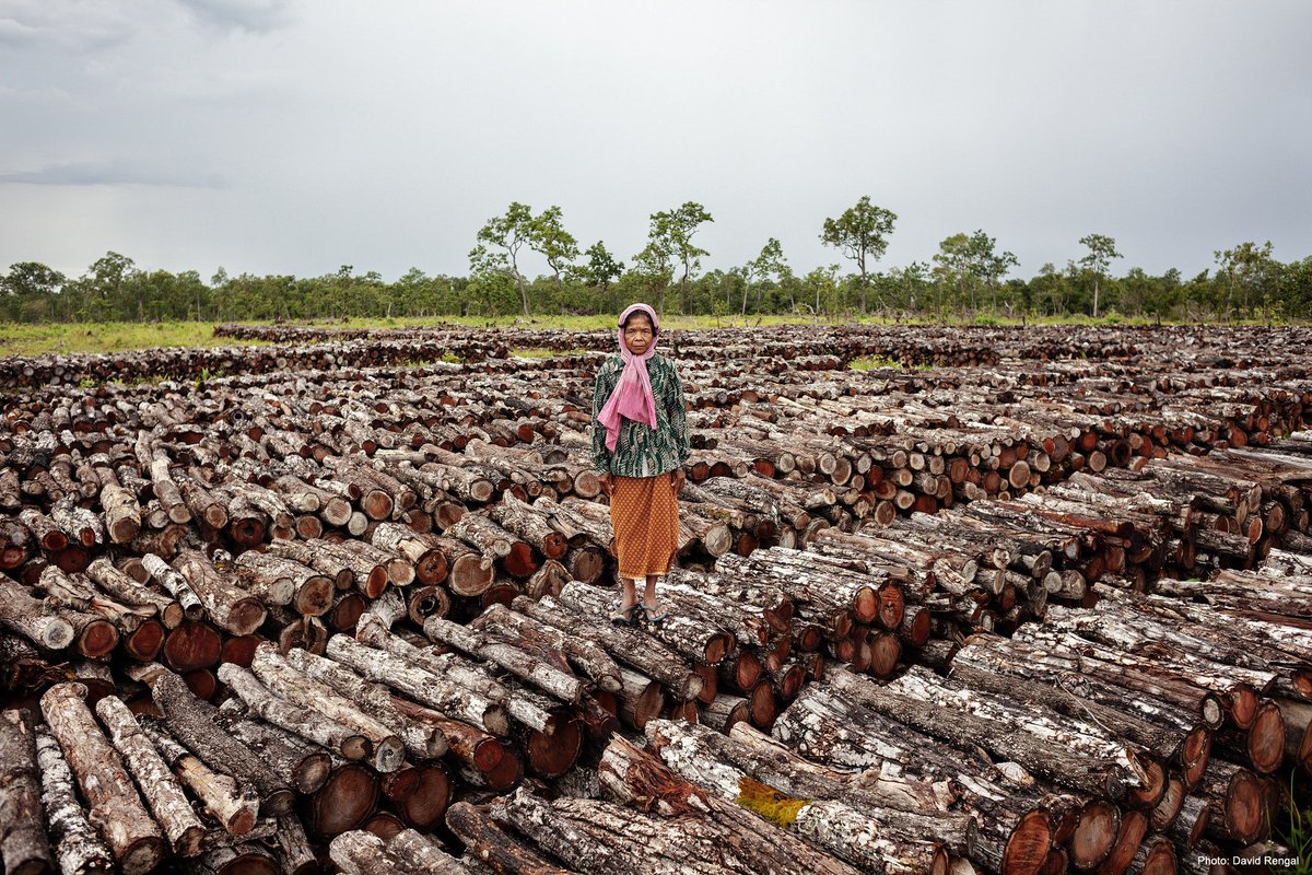 anticorruption's tweet photo. Today is #IntlForestDay. Just a reminder that it's #corruption we need to uproot, NOT trees. https://t.co/1WVrd59kHd https://t.co/vLBH23RTRf