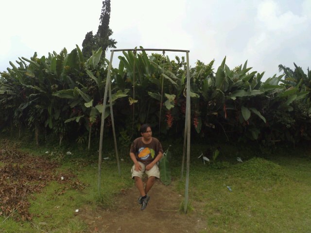 Sendiri lebih baik untuk mencari kebahagiaan.