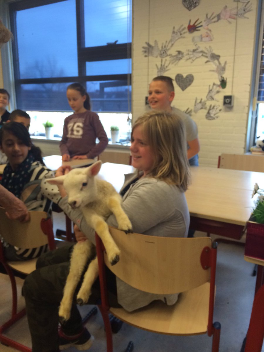 cocongroep7's tweet photo. Lief!!!!! https://t.co/wDSzHuexDg