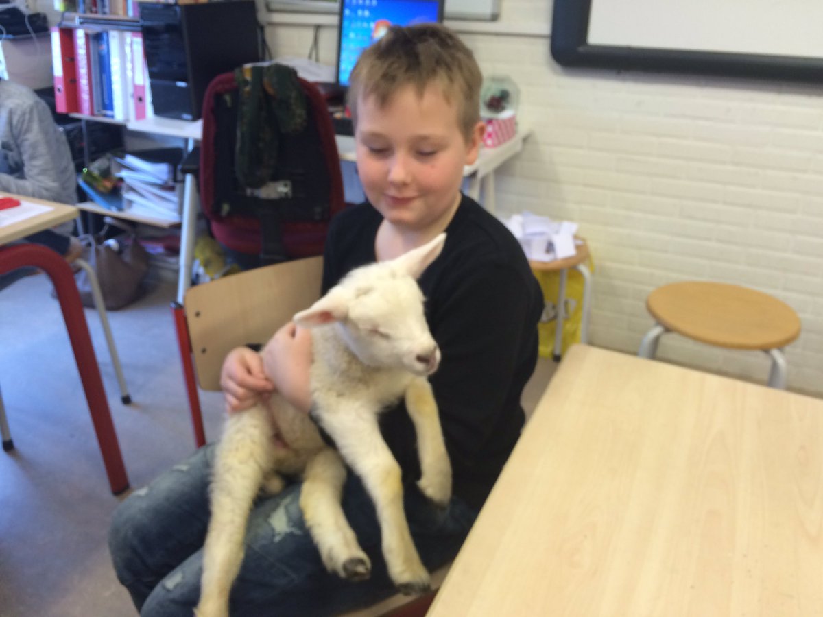 cocongroep7's tweet photo. Lief!!!!! https://t.co/wDSzHuexDg
