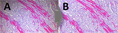 ChromaCal's tweet photo. @ExpBio See “Get Your BEST Microscope Images EVER” with Sally Davis at 9AM, Apr3 #EB2016 https://t.co/nHO9RmFayi https://t.co/g7PWXAgYnK