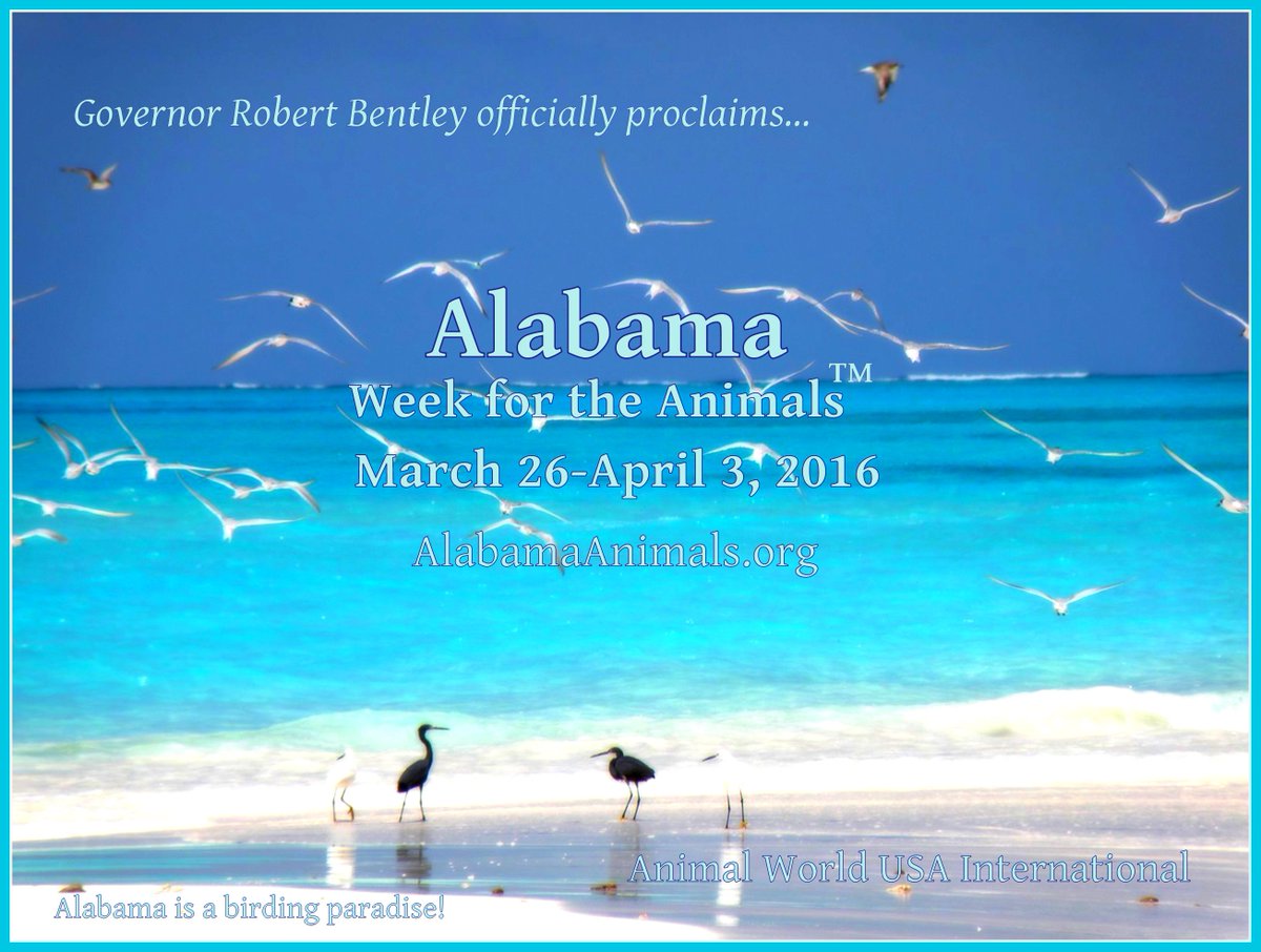 BuckalewAWUSA's tweet photo. #Governor Robt #Bentley proclaims #Alabama #WeekfortheAnimals March 26-Apr 3, 2016 #Bama #AL https://t.co/e6Tq2DThn9 https://t.co/qiLvKWGPsC