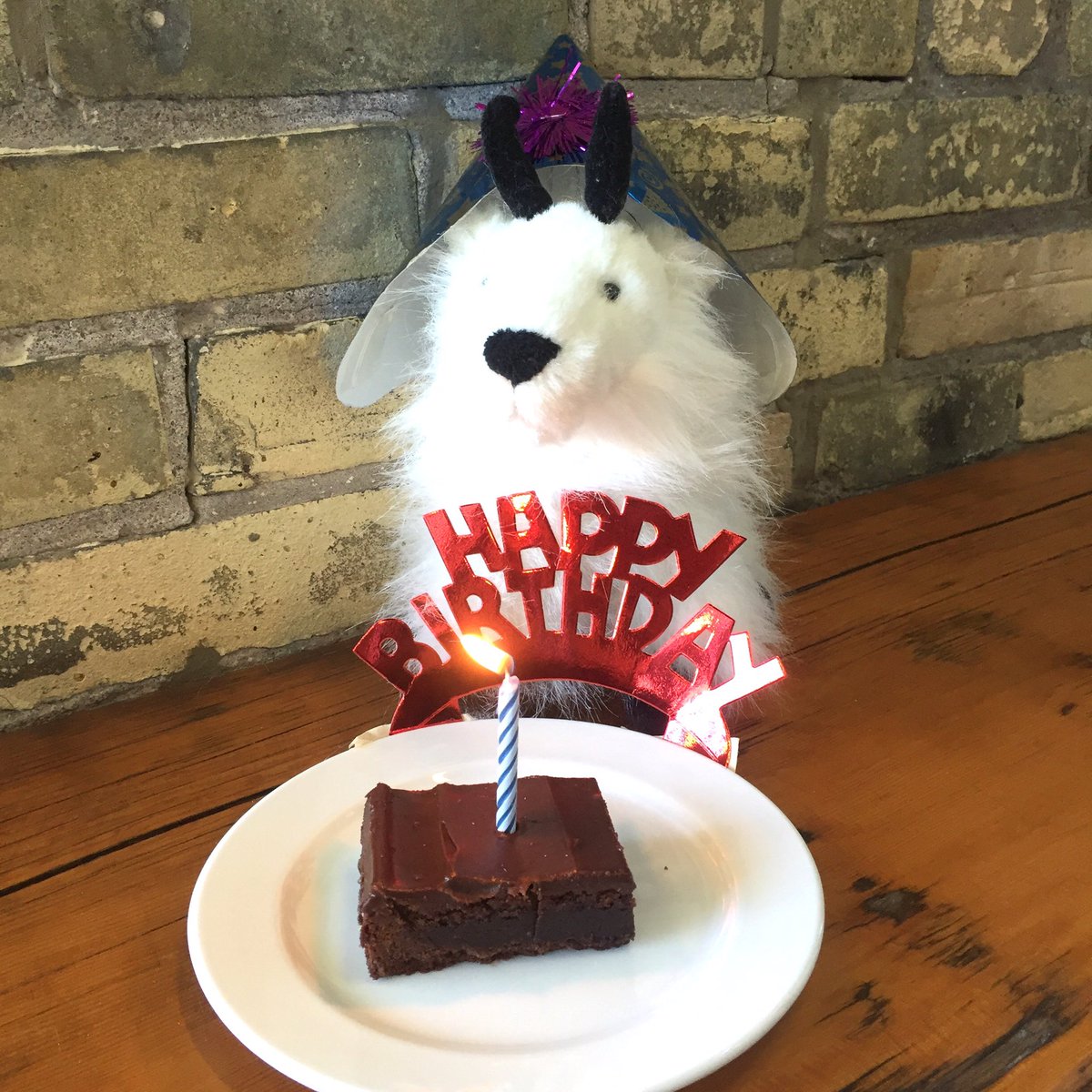 Communitech's tweet photo. Happy 10th birthday @twitter! Love, Communitech 🐐 #LoveTwitter https://t.co/5Zm1AQcMNG