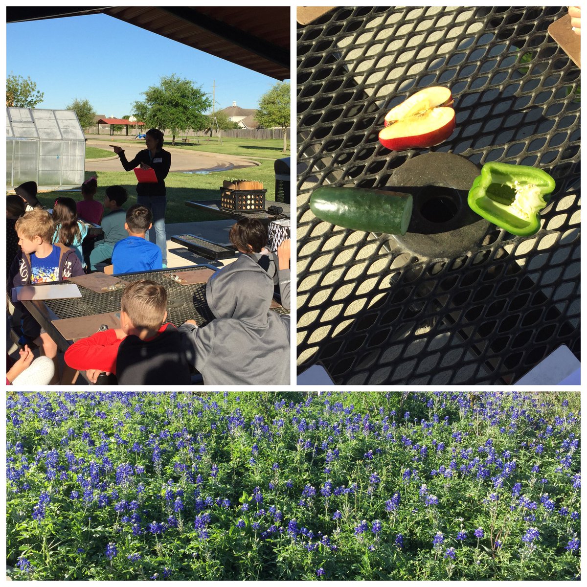 MsHParrie's tweet photo. Gorgeous way to start back after spring break. All of these are fruits? #eventheTEACHERisLEARNING #beKeith https://t.co/ZuJA2yKTFM