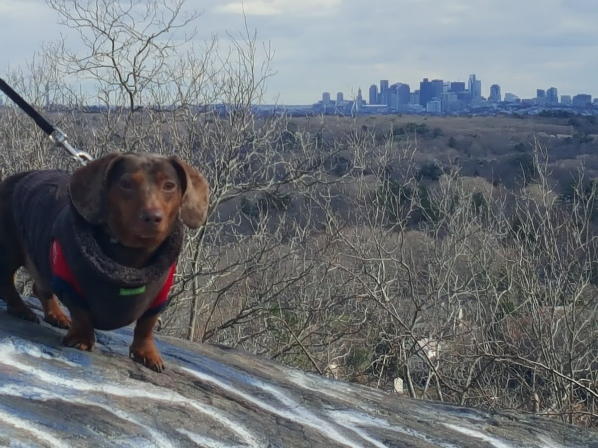 BostonWeiners's tweet image. Trails around Boston, Massachusetts