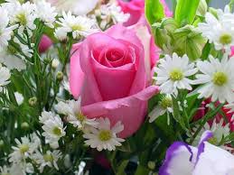abdalaasayed20's tweet photo. عذرا   عيد  الام
لا  عيد   ام    بدون    امى

الله  يرحمك  يا   امى https://t.co/CJ2mUcjDO0