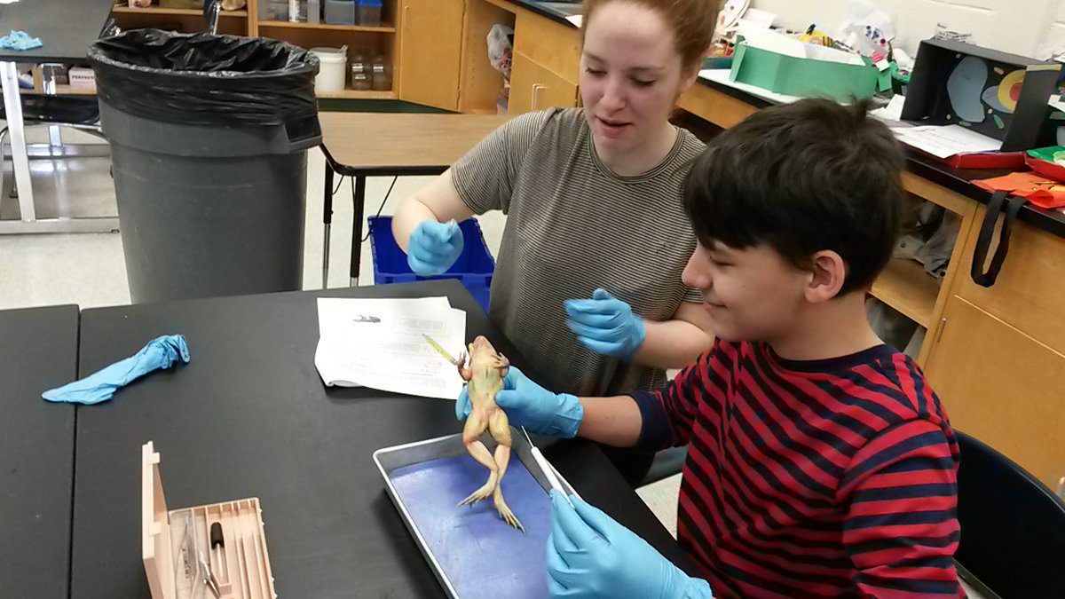 LathropScience's tweet photo. It's disection week in Mr. Engberg's 7th grade science. #d60learns https://t.co/uIq7V3mwe7