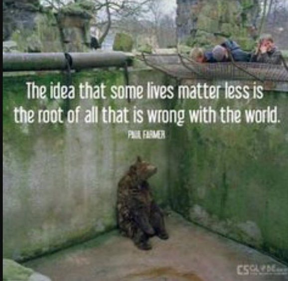 all lives matter, including the lives of the animals that don't a have a voice to speak for themselves.