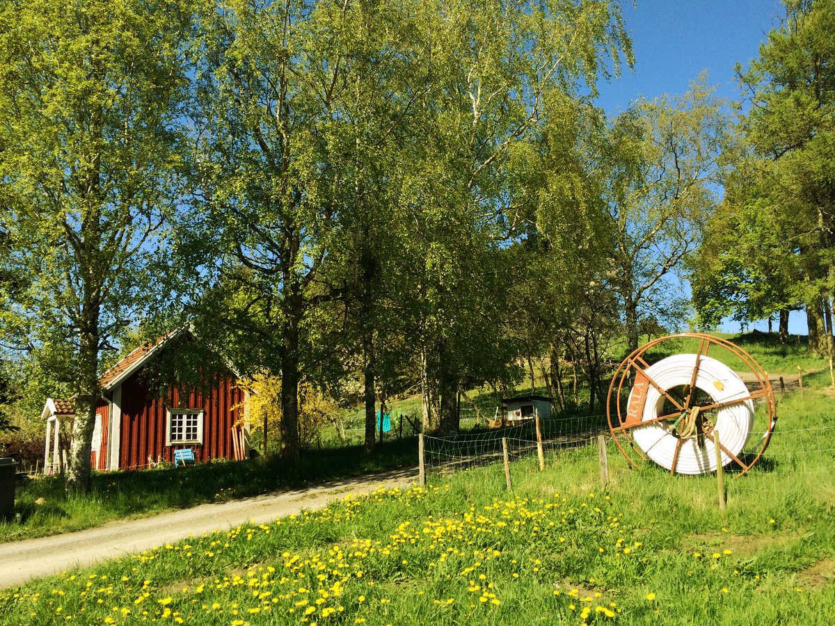 RalaNGN's tweet photo. PTS trycker på om ytterligare bredbandsmiljarder https://t.co/vzNlDdXA2P https://t.co/DKoRqhzY59