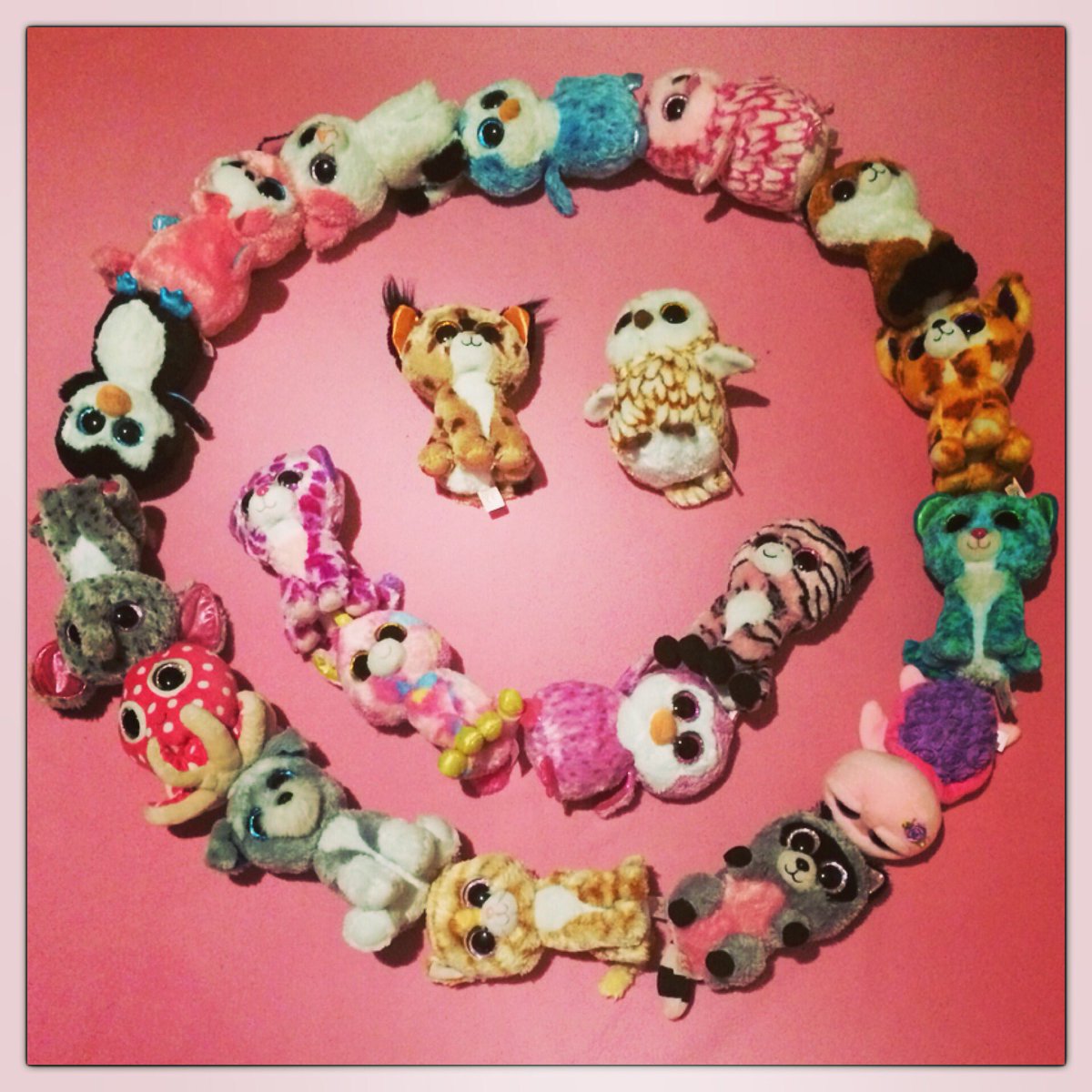 biggest beanie boo in the world