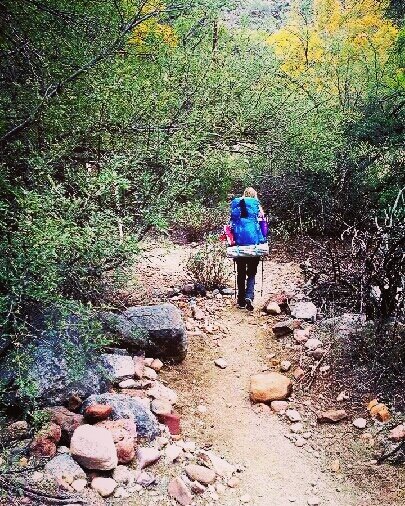 Hiking tweet media