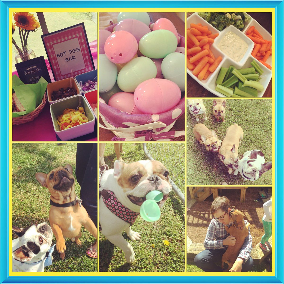 #SpringFling #partyplanning on #TheDoggyDish on #PetLifeRadio #diy #dogs #springishere