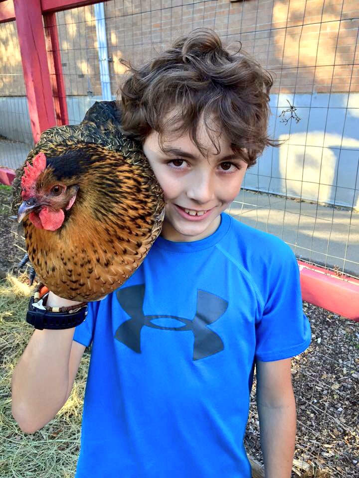 TexasTiffWalker's tweet photo. @TheMHFarm is going to the @wheastereggroll #LetsCelebrate the goodness growing in Dallas @letsmove @RichardsonISD https://t.co/DNizteKEib