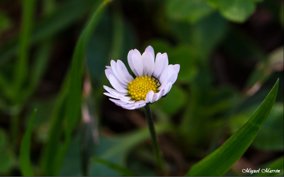naturalphotos_'s tweet photo. https://t.co/n1H18PX0Zk