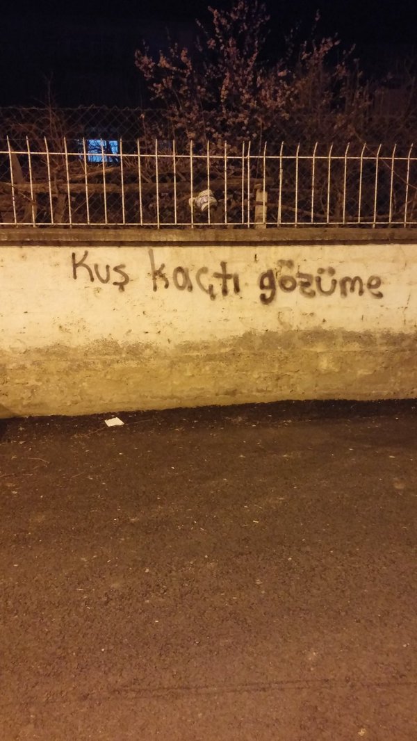 kaan (@gezegenimburasi) on Twitter photo 