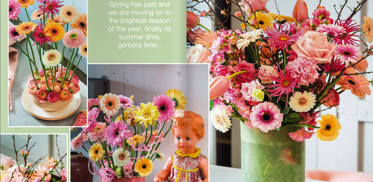 Begin april start de promotiecampagne van de #Gerbera!
Laat je alvast inspireren ...

duyvenvoorde.nl/archieven/1628
