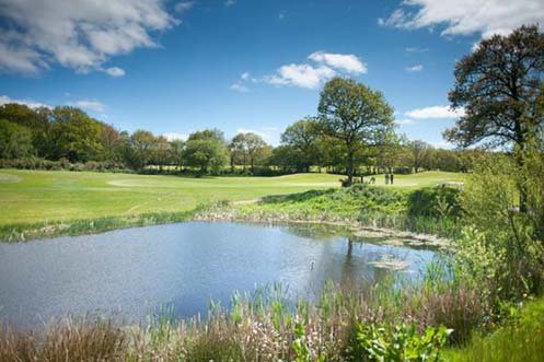 Woodbury_Park's tweet photo. Looking for something to do this weekend? Why not spend some time with us? https://t.co/Pq6ddM3W75 @Devon_Hour https://t.co/mUDI8izqEB