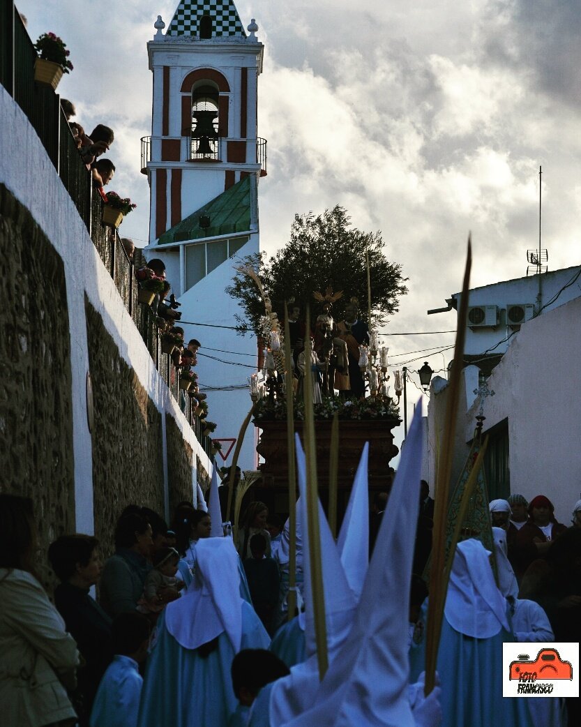 FotoFranciscorm's tweet photo. #semanasanta #badolatosa #borriquita #domigoderamos #sagradaentradaenjerusalen https://t.co/JugyfkFyXk