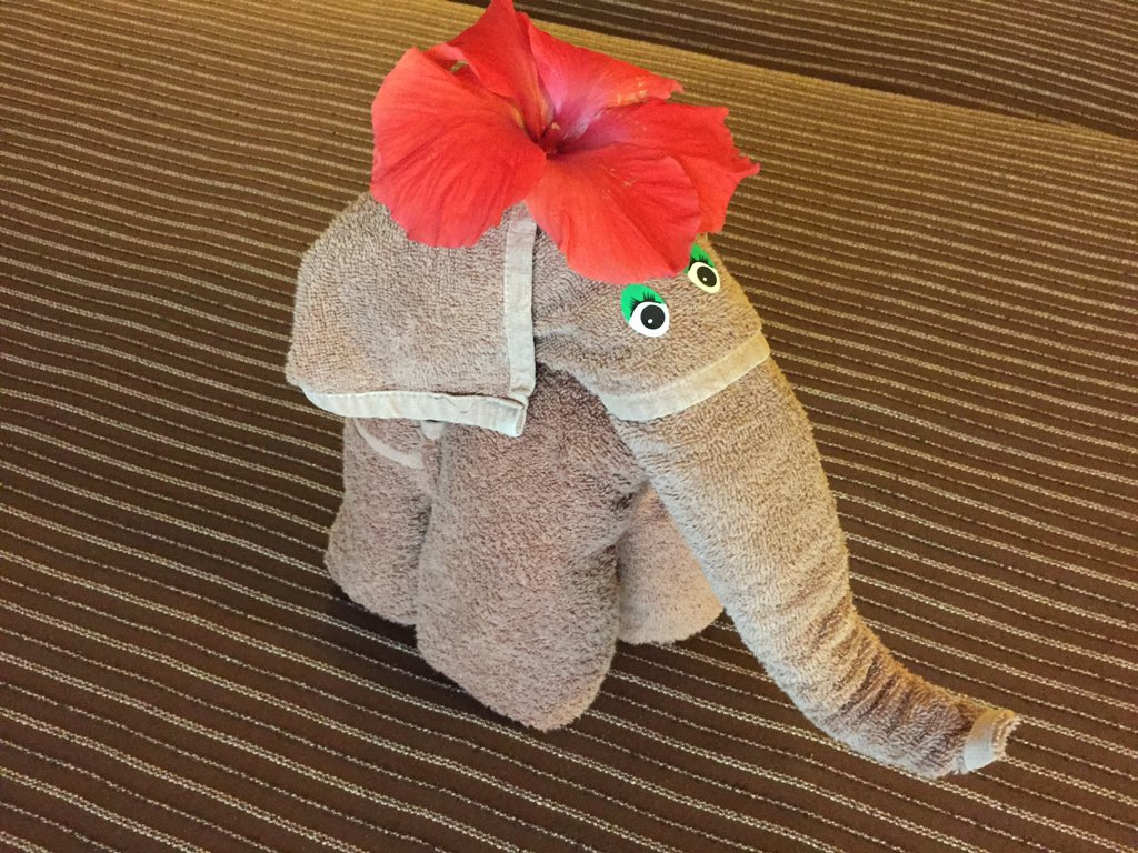 JohnSimonett's tweet photo. I've seen many "towel swans" - but the "towel sculptures" @ The Riu Tequila are on a different level! #tipbait https://t.co/bOEEpEPObP