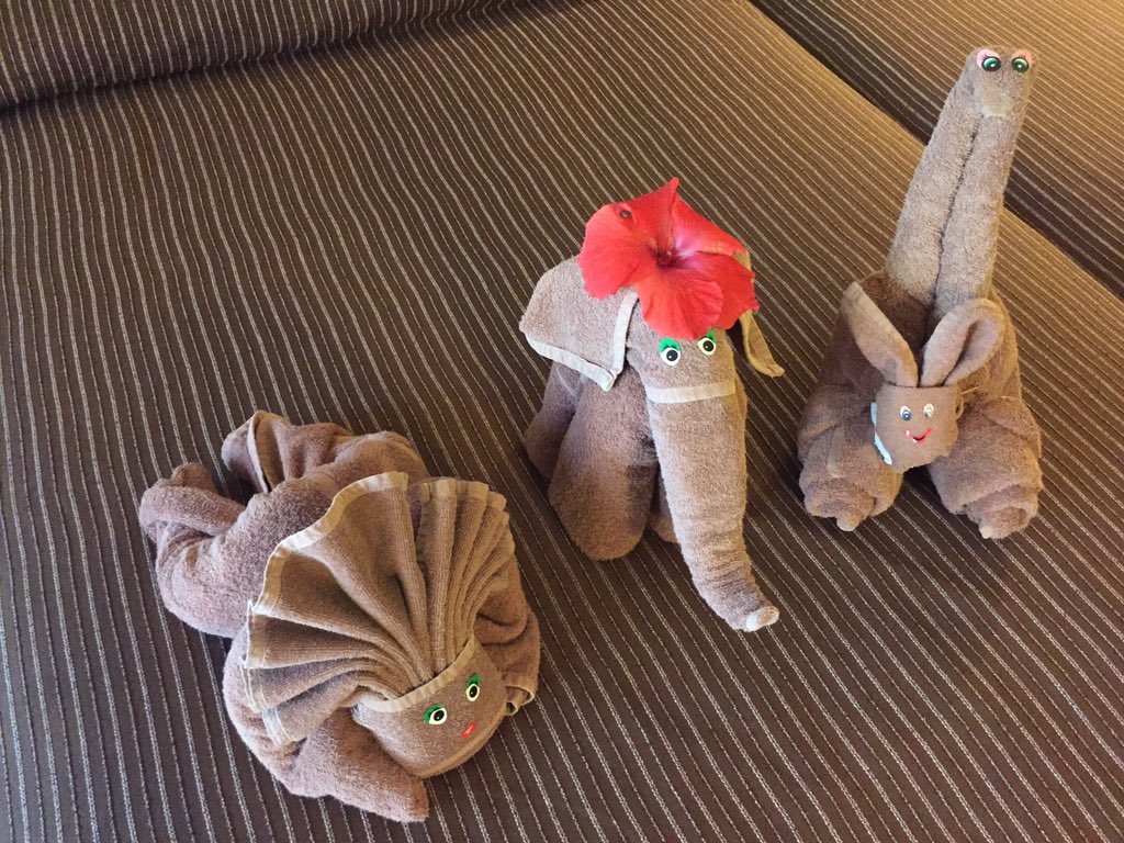 JohnSimonett's tweet photo. I've seen many "towel swans" - but the "towel sculptures" @ The Riu Tequila are on a different level! #tipbait https://t.co/bOEEpEPObP
