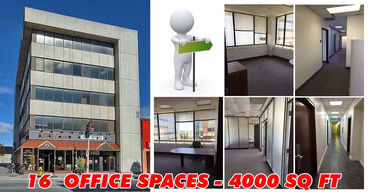BusinessPointca's tweet image. Need more #OfficeSpace? Affordable downtown #Oshawa awaits! businesspoint.ca/locations/osha…