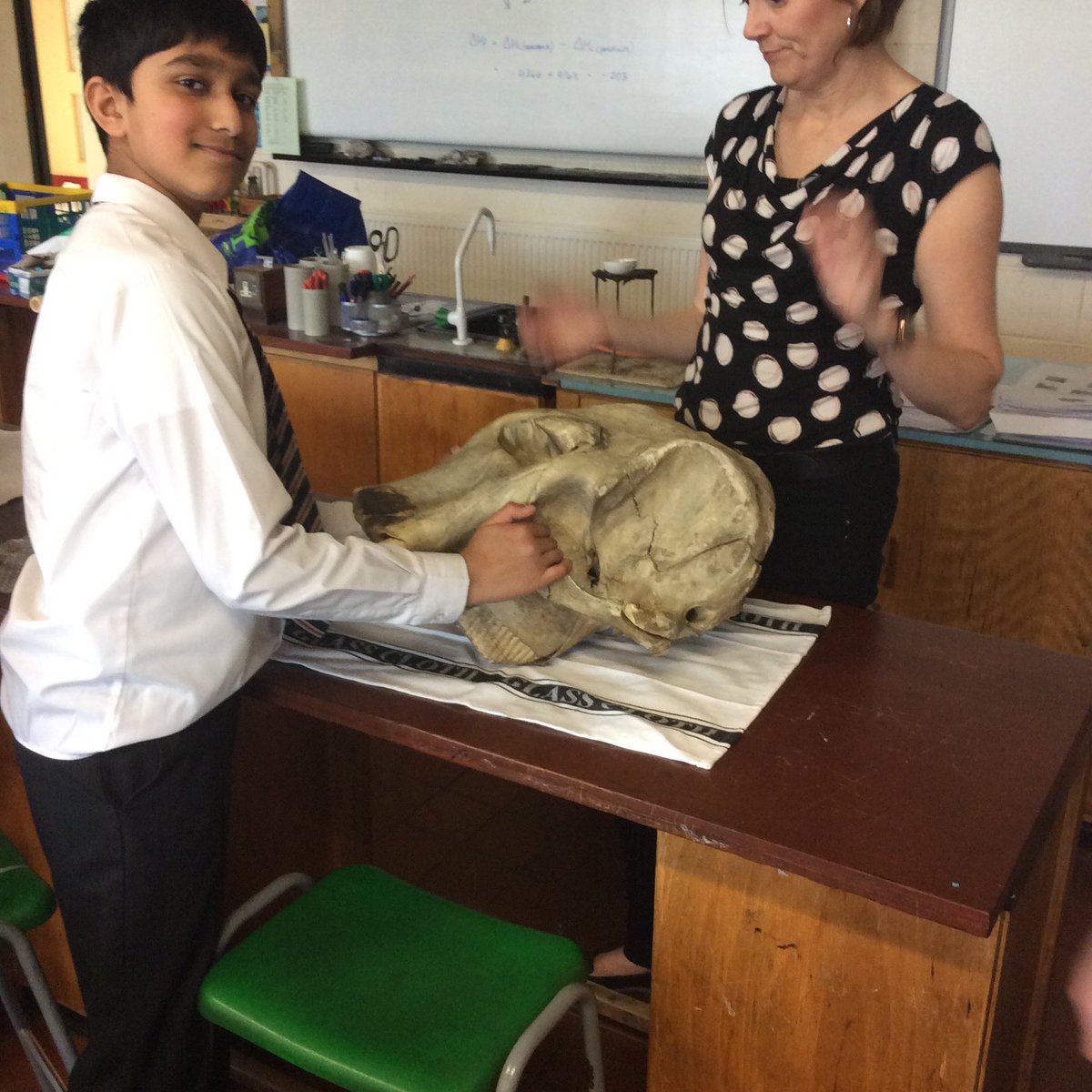 Another visit from Sarah Hall today at #CHSScienceClub who bought in various animal skulls for us to have a look at!