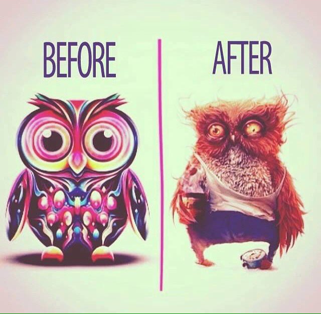Charlotte_Aerde's tweet photo. Elke mpc'er tegen het einde van dit jaar 😂 #mastermpc https://t.co/ZnVuh35dM5