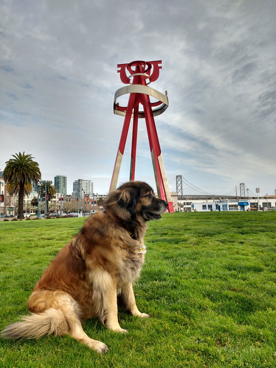 Kyle A. Koning, P.E. tweet media