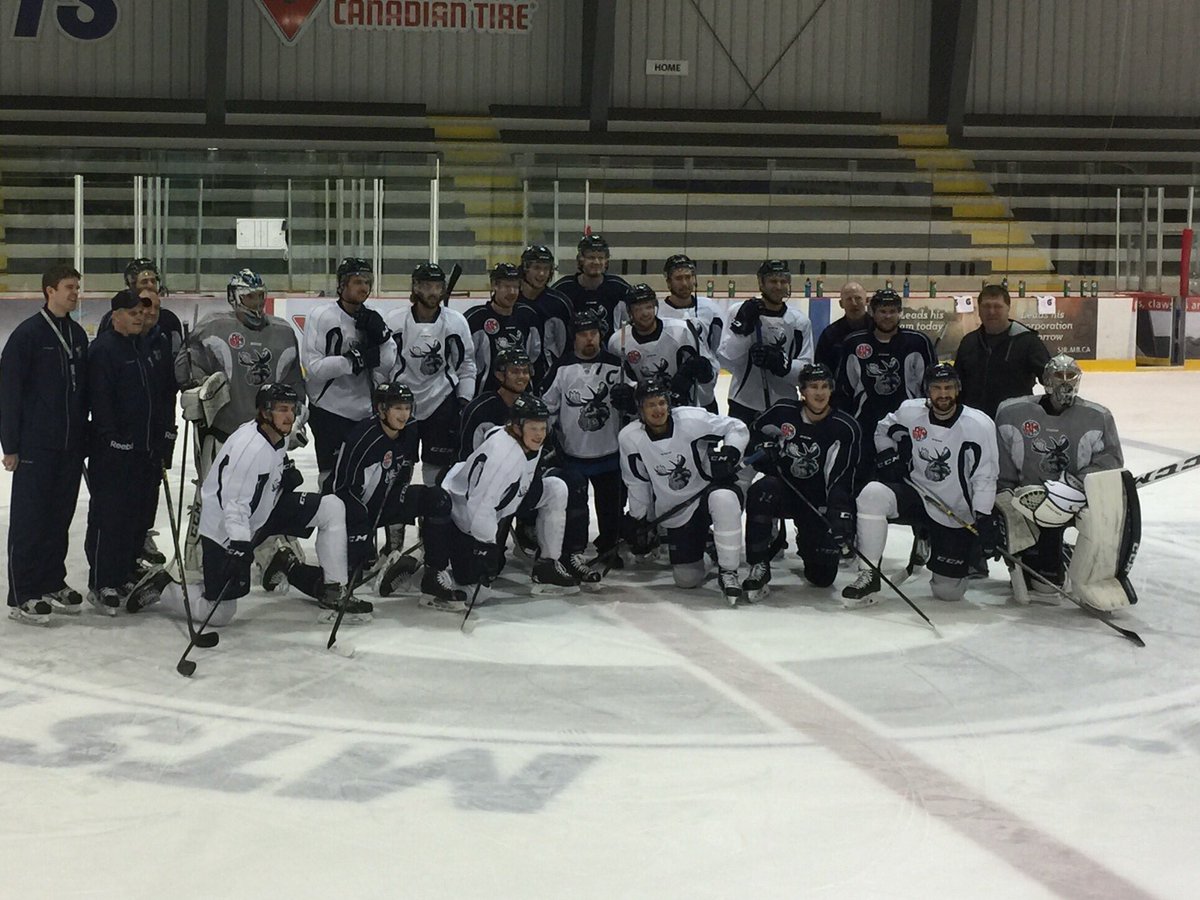 Manitoba Moose tweet media