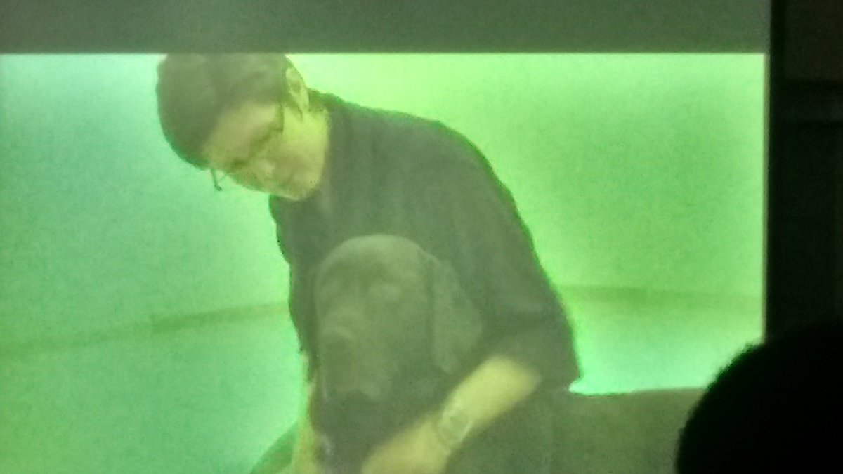 jacob_lhs's tweet photo. @msstern_lhs  humans can understand dog barks as emotions. Dogs may have developed barks to talk to with humans. https://t.co/UGjxRZewta
