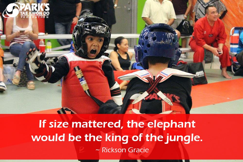 ParksFederation's tweet photo. Can you hear our Tiny Tigers roar? #Taekwondo #TinyTigers #BigHearts https://t.co/OwTsGBc4Pw