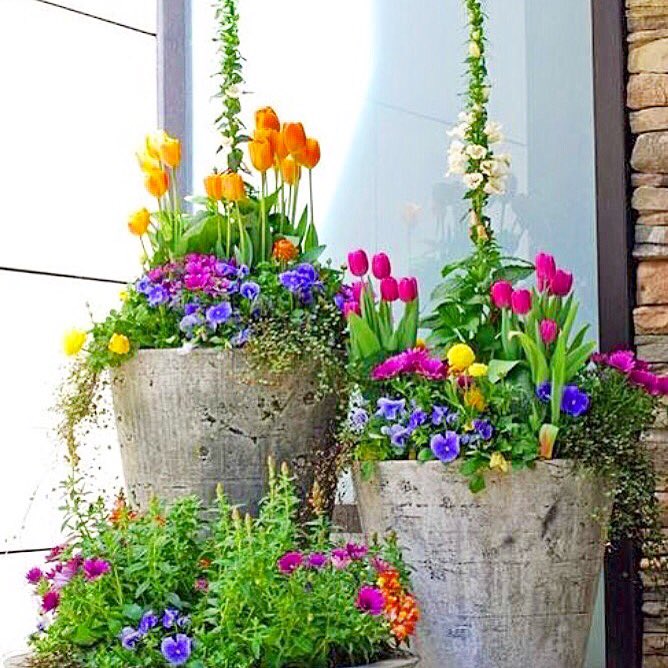 POLO_BAY's tweet photo. Happy Spring! We have gorgeous new arrivals that will brighten up your home for the season. Stop by &amp; say hi soon. 💐 https://t.co/w9bvHhg5ij